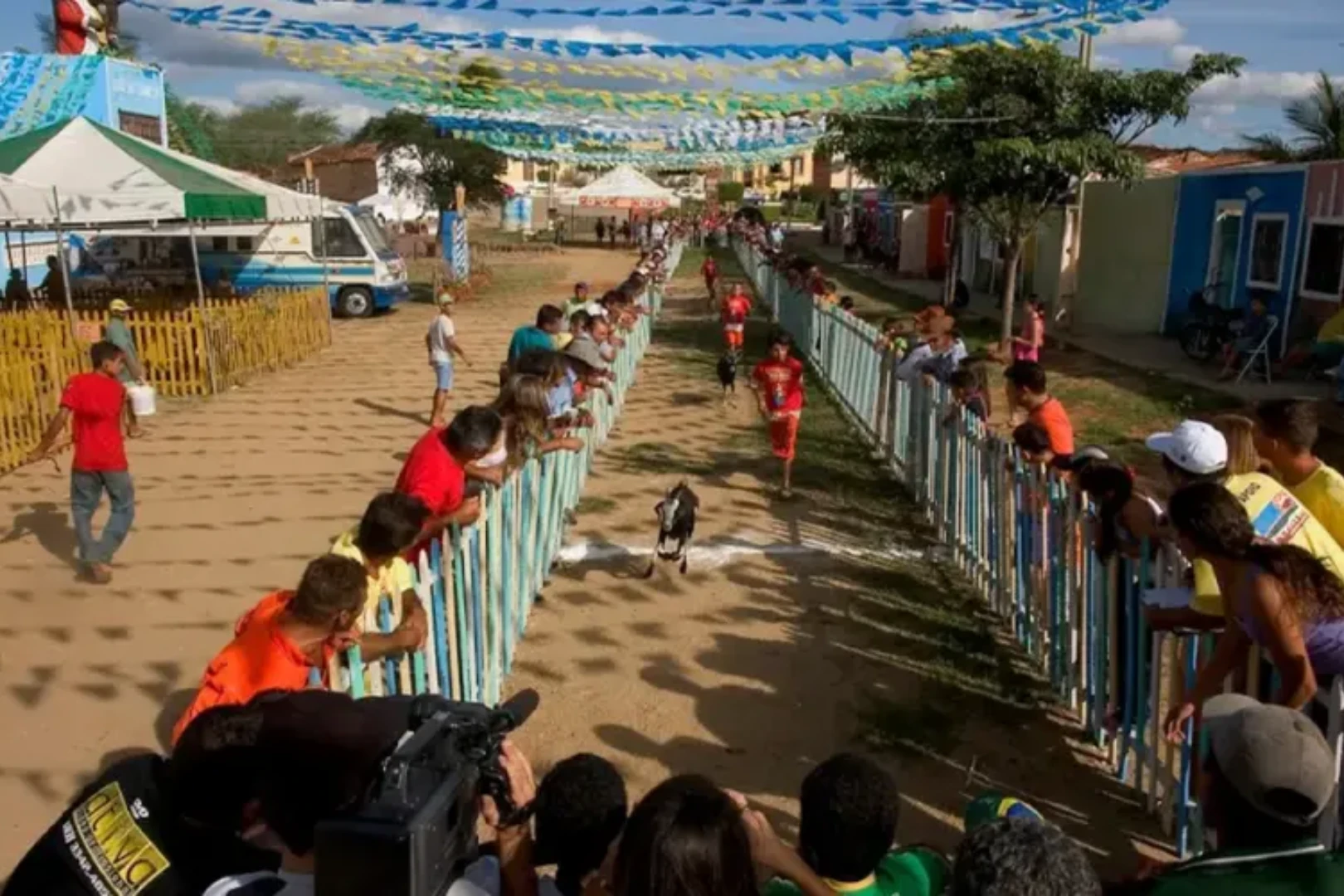 Festa do Bode Rei. Foto_ Reprodução
