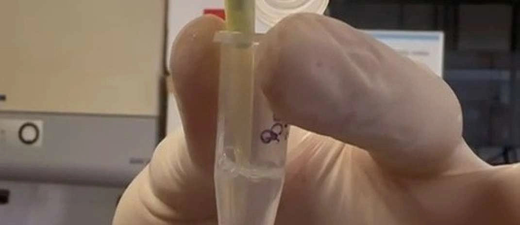 Lagem CE foto divulgação