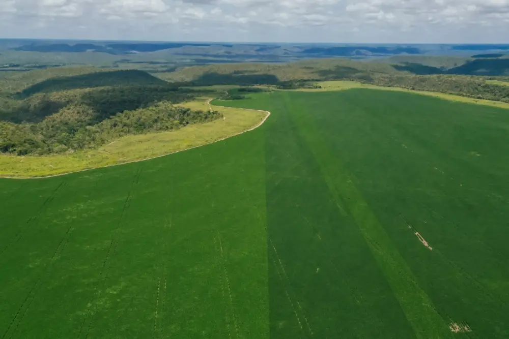 Sustentabilidade será desafio do hub da Embrapa no maior território agrícola do País  Foto Camila de Almeida