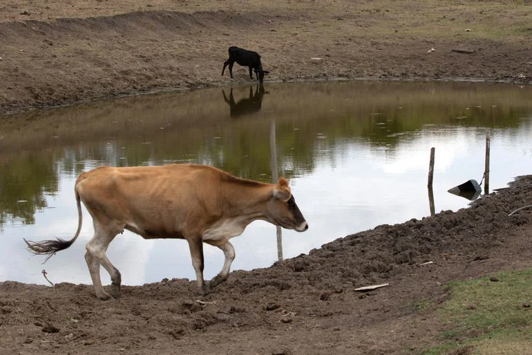 Estiagem no NE Foto Fábio Pozzebom Agência Brasil