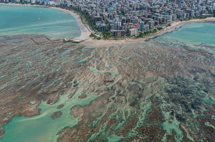Praia da Ponta Verde na maré zero. Foto Itawi Albuquerque Secom