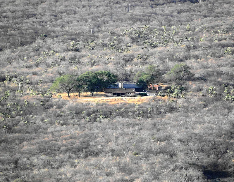 Ação visa recuperar solo, reter água dentro da área e plantios de espécies nativas foto Associação Caatinga