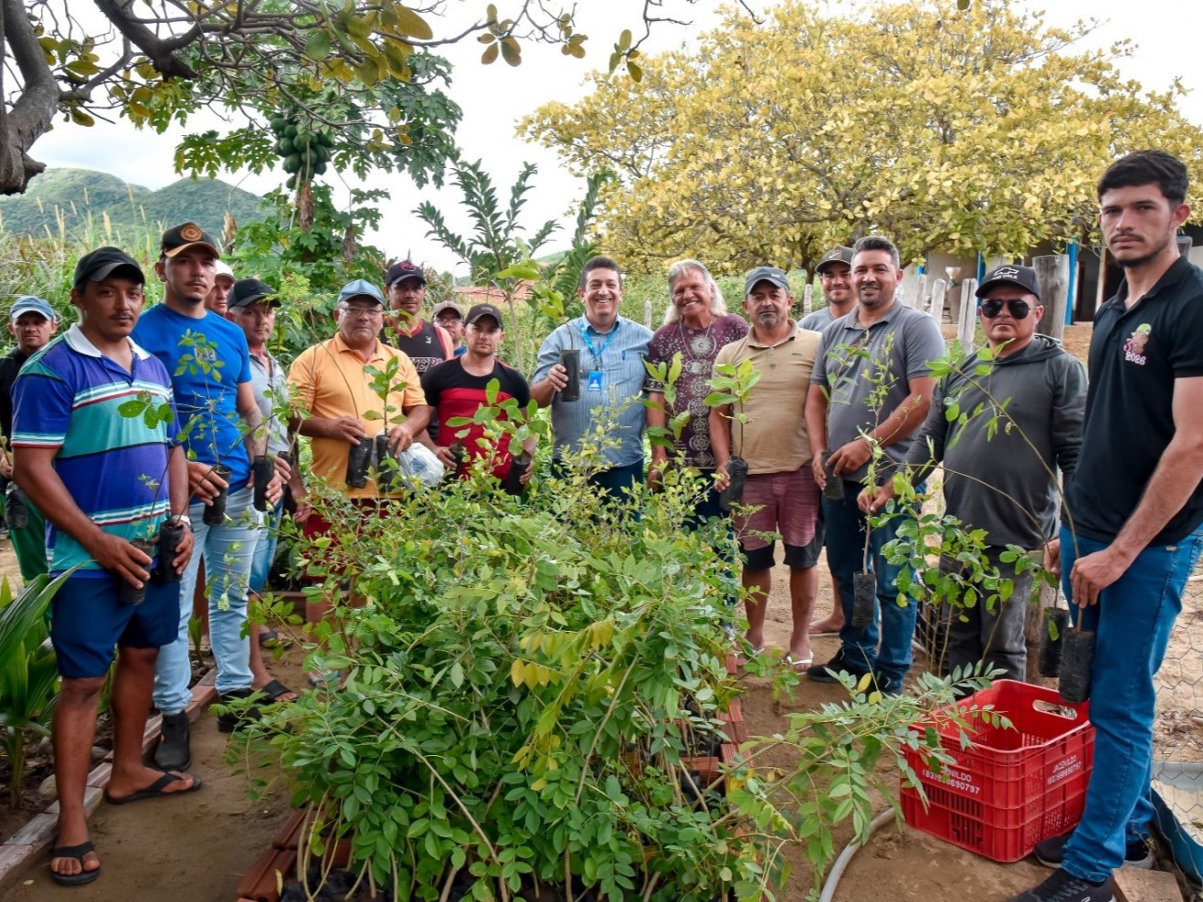 Plantas apícolas e criadores de abelhas. Foto: Sebrae