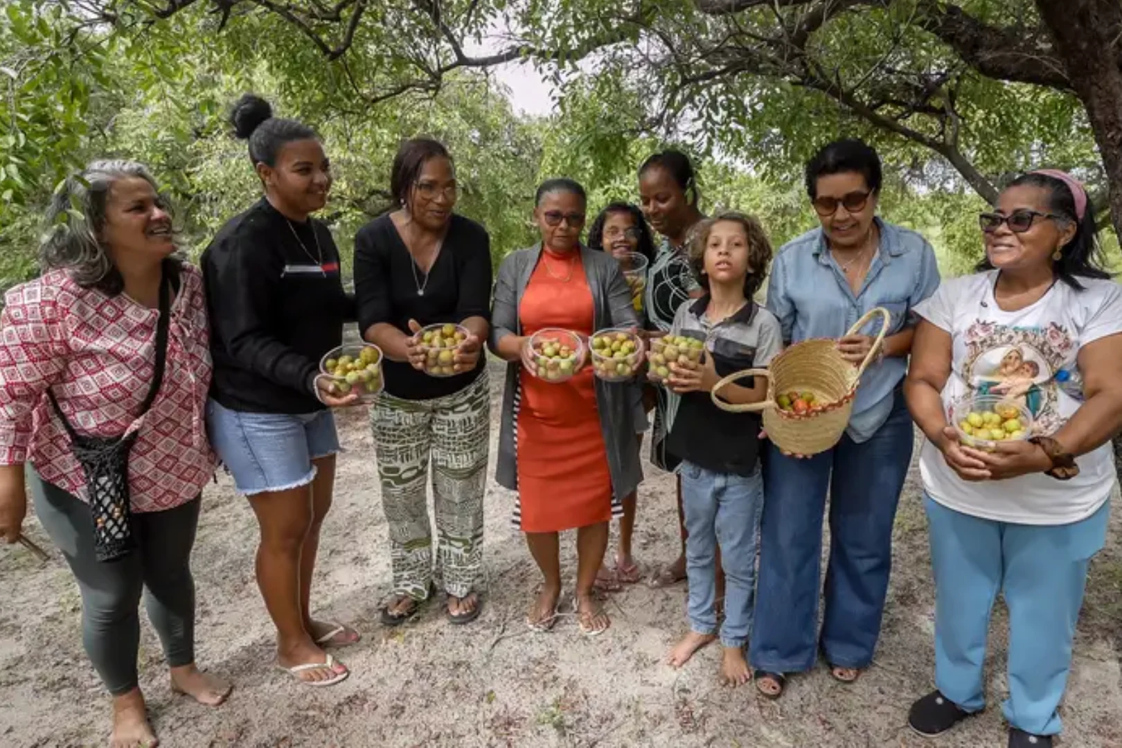 Mulheres catadoras de mangaba. Foto: Rafa Neddermeyer_ Agência Brasil