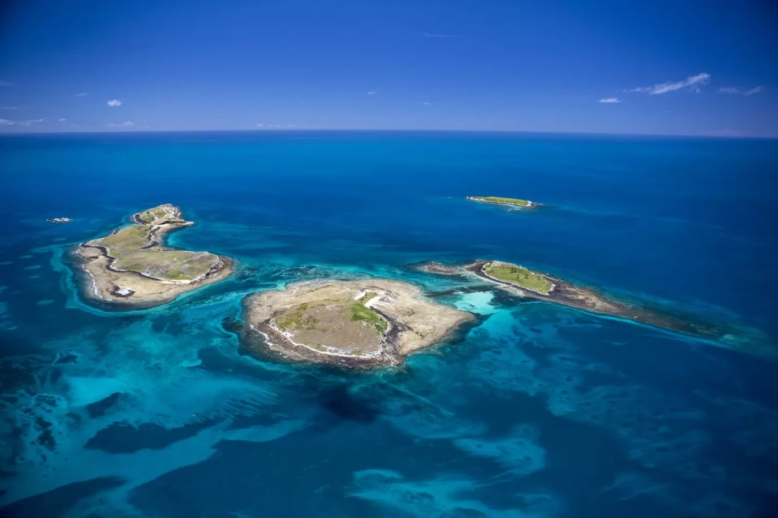 ABROLHOS foto futuri brasil