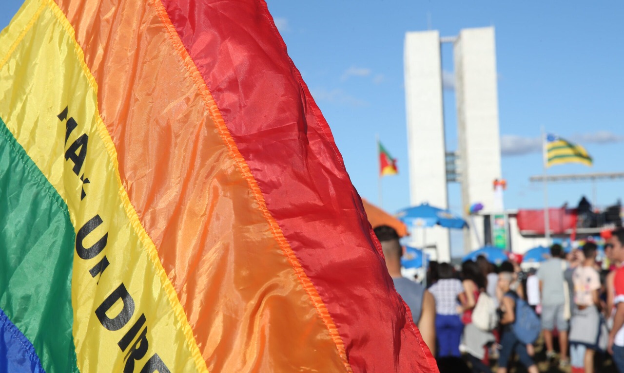 bandeira-lgbt-no-congresso. Foto: Marcelo Casal Jr/Agência Brasil