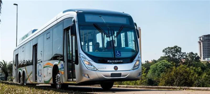 onibus na pista