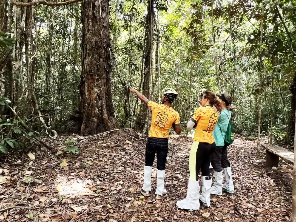 Parque Nacional do Pau Brasil, em Porto Seguro foto Futuri Brasil