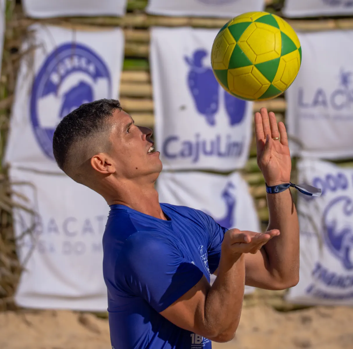 Pipaalta foto divulgação