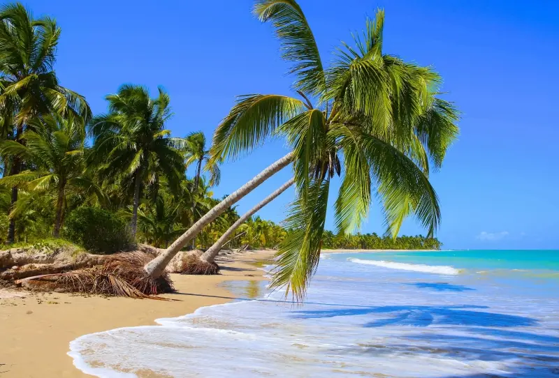 Praia do Patacho é uma das mais preservadas do Brasil Praia do Patacho é uma das mais preservadas do Brasil